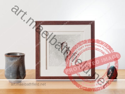 Creation n°124 fine art print 1/30 brown wooden frame 20*20cm